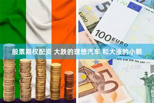 股票期权配资 大跌的理想汽车 和大涨的小鹏