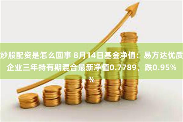 炒股配资是怎么回事 8月14日基金净值：易方达优质企业三年持有期混合最新净值0.7789，跌0.95%