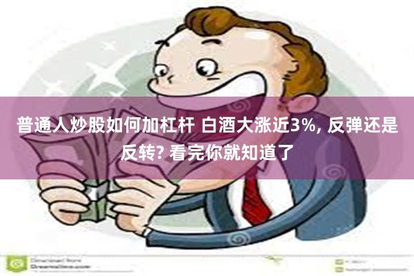 普通人炒股如何加杠杆 白酒大涨近3%, 反弹还是反转? 看完你就知道了