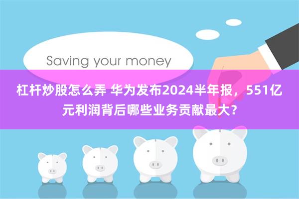 杠杆炒股怎么弄 华为发布2024半年报，551亿元利润背后哪些业务贡献最大？