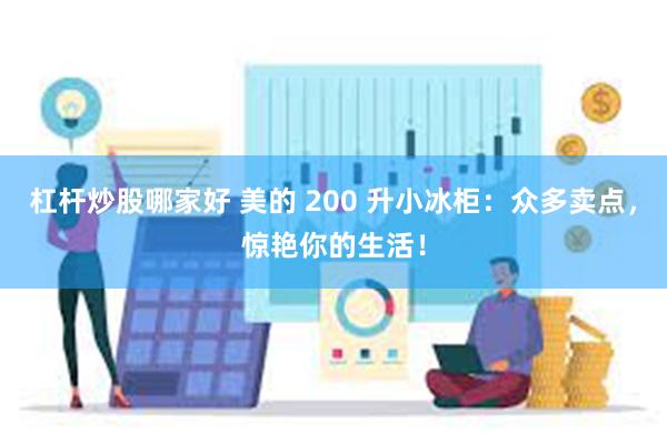 杠杆炒股哪家好 美的 200 升小冰柜：众多卖点，惊艳你的生活！