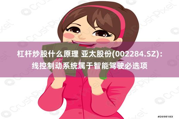 杠杆炒股什么原理 亚太股份(002284.SZ)：线控制动系统属于智能驾驶必选项