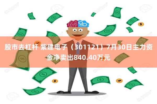 股市去杠杆 紫建电子（301121）7月30日主力资金净卖出840.40万元