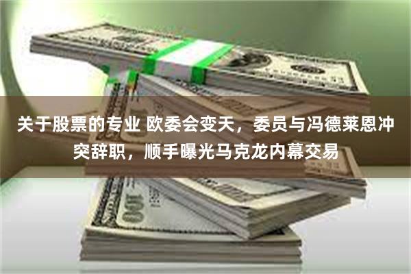 关于股票的专业 欧委会变天，委员与冯德莱恩冲突辞职，顺手曝光马克龙内幕交易
