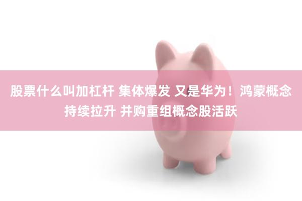 股票什么叫加杠杆 集体爆发 又是华为！鸿蒙概念持续拉升 并购重组概念股活跃
