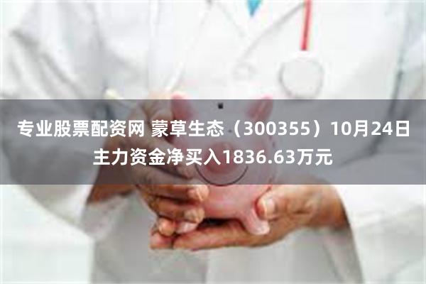专业股票配资网 蒙草生态（300355）10月24日主力资金净买入1836.63万元