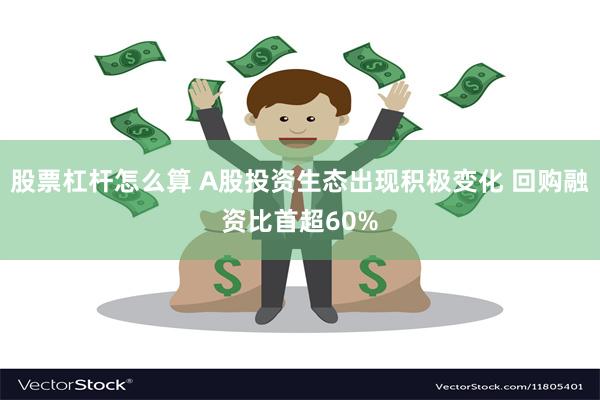 股票杠杆怎么算 A股投资生态出现积极变化 回购融资比首超60%
