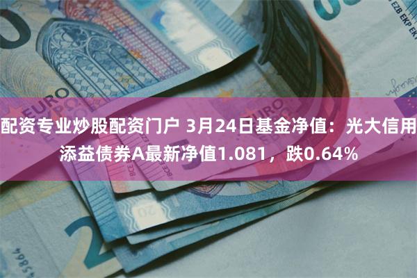 配资专业炒股配资门户 3月24日基金净值：光大信用添益债券A最新净值1.081，跌0.64%