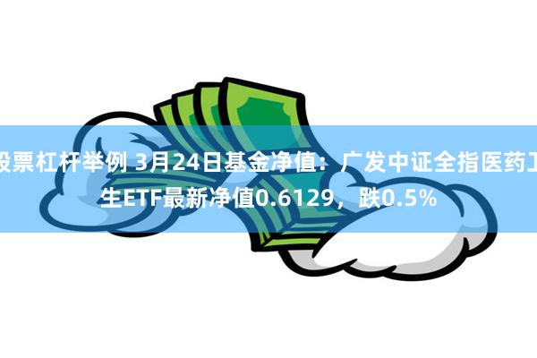 股票杠杆举例 3月24日基金净值：广发中证全指医药卫生ETF最新净值0.6129，跌0.5%