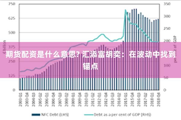 期货配资是什么意思? 汇添富胡奕：在波动中找到锚点