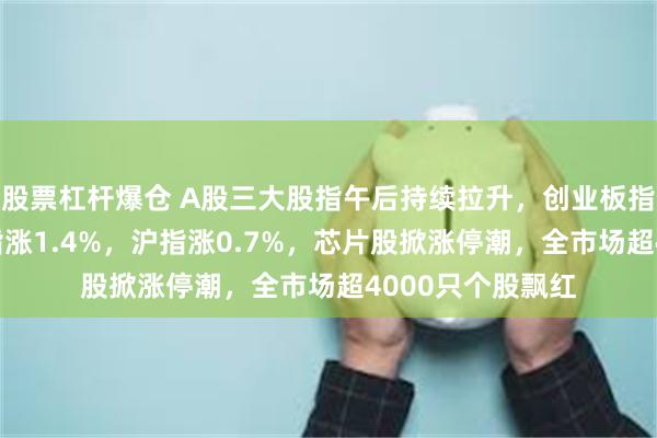 股票杠杆爆仓 A股三大股指午后持续拉升，创业板指涨2%，深证成指涨1.4%，沪指涨0.7%，芯片股掀涨停潮，全市场超4000只个股飘红