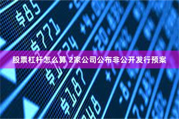 股票杠杆怎么算 2家公司公布非公开发行预案