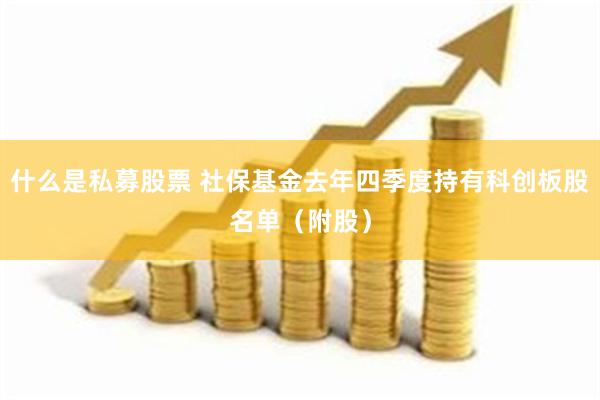 什么是私募股票 社保基金去年四季度持有科创板股名单（附股）