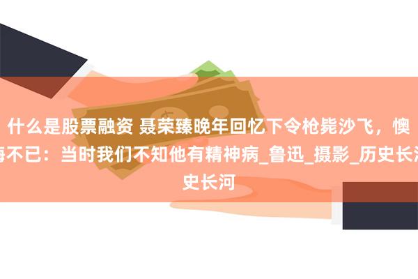 什么是股票融资 聂荣臻晚年回忆下令枪毙沙飞，懊悔不已：当时我