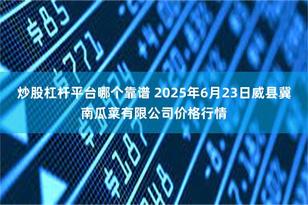 炒股杠杆平台哪个靠谱 2025年6月23日威县冀南瓜菜有限公