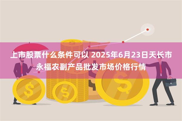 上市股票什么条件可以 2025年6月23日天长市永福农副产品批发市场价格行情