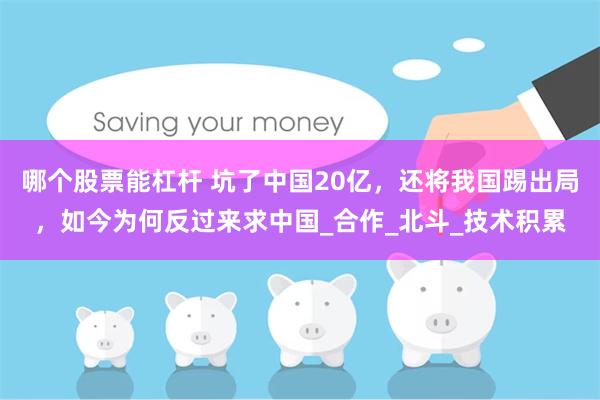 哪个股票能杠杆 坑了中国20亿，还将我国踢出局，如今为何反过