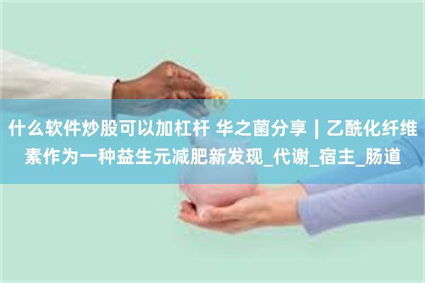 什么软件炒股可以加杠杆 华之菌分享∣乙酰化纤维素作为一种益生