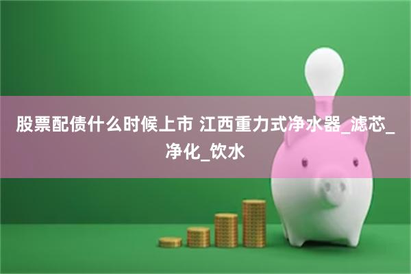 股票配债什么时候上市 江西重力式净水器_滤芯_净化_饮水