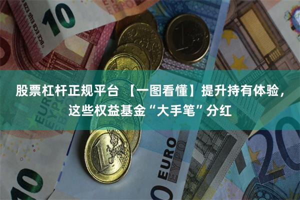 股票杠杆正规平台 【一图看懂】提升持有体验，这些权益基金“大