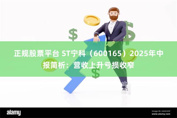 正规股票平台 ST宁科（600165）2025年中报简析：营