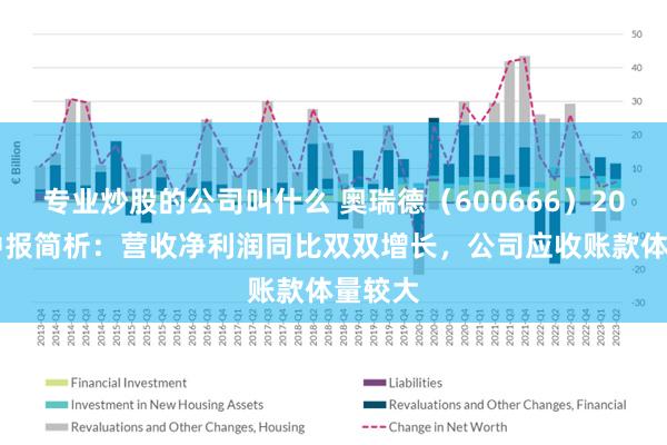 专业炒股的公司叫什么 奥瑞德（600666）2025年中报简